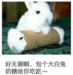 反差 最近热门事件合集吃瓜兔,吃瓜兔带你一网打尽
