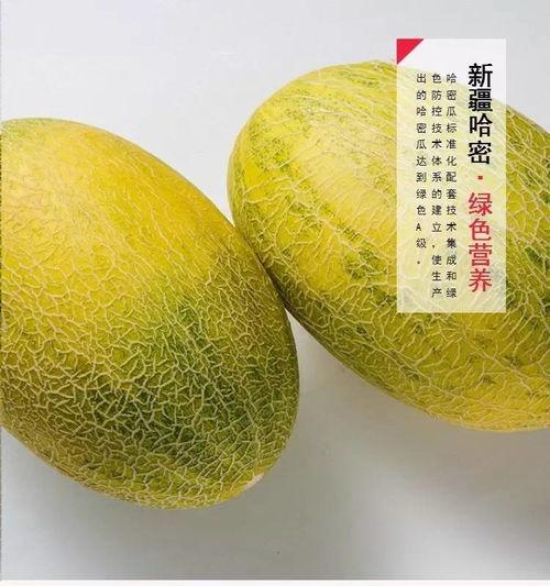 热门大瓜每日大赛 吃瓜网站,揭秘娱乐圈最新热点事件